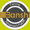 Banshi College of Education_logo