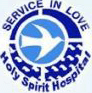 Holy Spirit Institute of Nursing Education (Holy Spirit School of Nursing)_logo