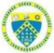 Dayananda Sagar College of Pharmacy_logo