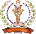 Diana College of Nursing_logo