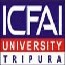 The Institute of Chartered Financial Analysts of India University_logo